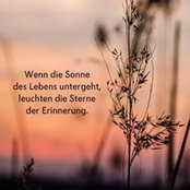 Foto von Carolin Nillert