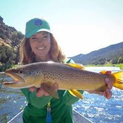 Kerry Sundahl's photo