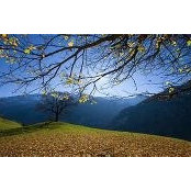 Allison Kidd's photo