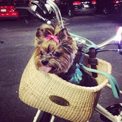 Photo de Katie