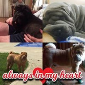 Regina Snyder Price's photo