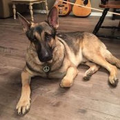 Jessica Keller Wrightsel's photo