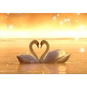 Donna Melvin's photo