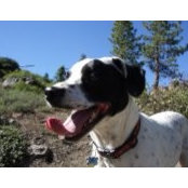 Brian York's photo