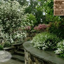 rhododendrums