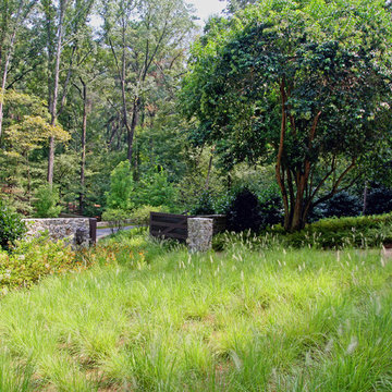 Woodland Rain Gardens