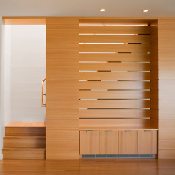 Modern Home