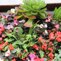 Living Wall System Residential - Products