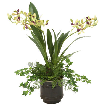 Vanda Orchid in Dark Bronze Pot