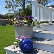 Container Plants