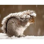 Karen Bennell-Davis's photo
