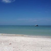 Lynnette Miyamoto's photo