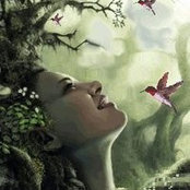Melisa Carrico's photo