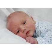 Deena Boyd's photo