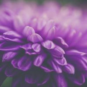 Marwa M. Alkomy's photo