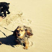Liv Weston's photo