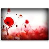 Photo de Els DW