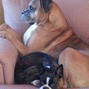 Cheri DeWitt Andress's photo