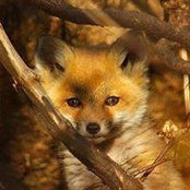 Alyson Patterson's photo