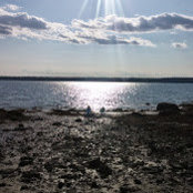 Kay Jay's photo