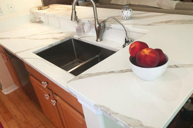 Kitchen pantry - modern galley kitchen pantry idea in Tampa with an undermount sink, quartz countertops, white backsplash, no island and white countertops