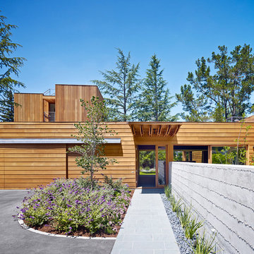 Low/Rise House