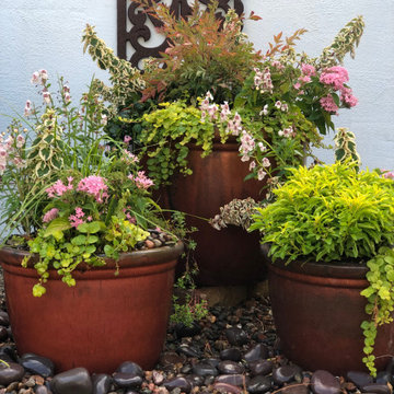 A Garden in Pink