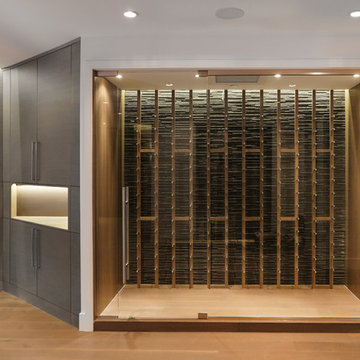 Modern Home Bar with Wine Cellar