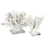 Elk Home - Coral Sculptures Set of 2 - The Coral Sculpture set includes two white sculptures, made from resin with a dry texture which mimics the texture of real coral. Each varies slightly in appearance, and each is mounted on a small acrylic base.
