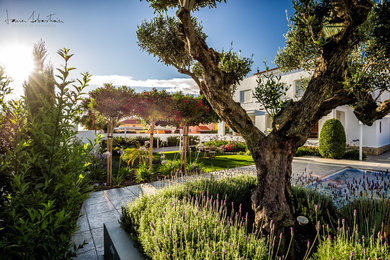Jardín la Terapia