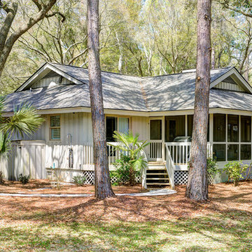 Conifer- Kiawah