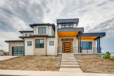 Trendy exterior home photo in Denver