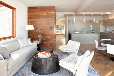 Design ideas for a contemporary living room in San Francisco.