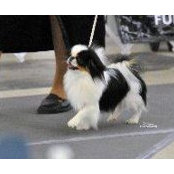 Cherie Boice's photo