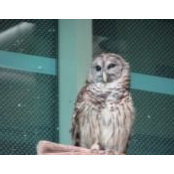 Richard Hodom's photo