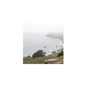 Tyler King's photo