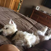 Tammy Wilkinson's photo