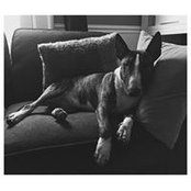 Janine Clark's photo