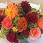 Colleen Bicket's photo
