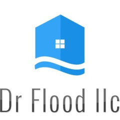Dr Flood LLC