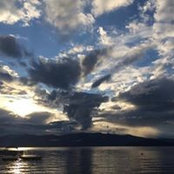 Johanna Haraf's photo