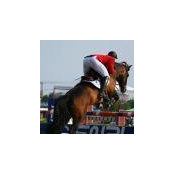 Franco Tedeschi's photo