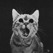 Eric Casanova's photo