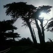 Warren Cannon's photo