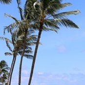 Carolyn Reever's photo