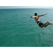 Tamer Riad's photo