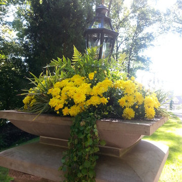 Fall Patio Pots