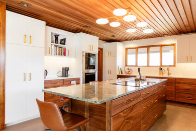 Inspiration for a 1960s kitchen remodel in Chicago