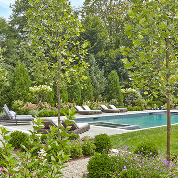 Weston Pool and Gardens