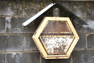 Display Beehive at State College Area House